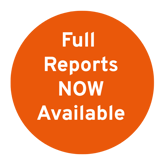 Exec summary now available circle (2)